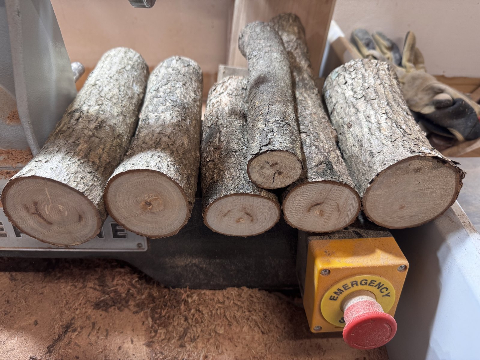 Rescued timber logs waiting to be turned